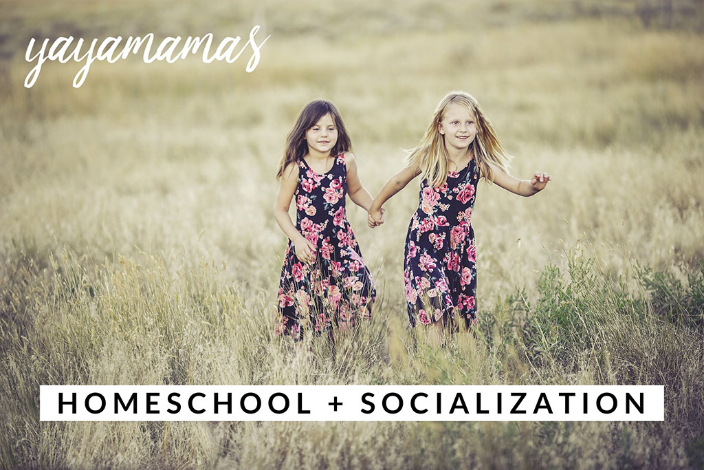 Homeschool and Socialization
